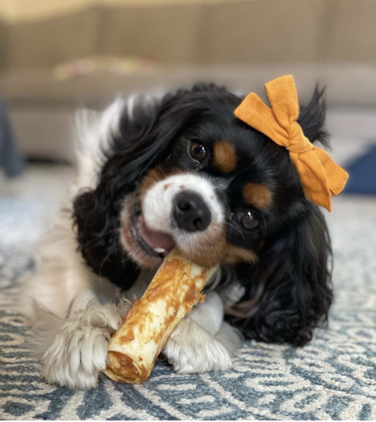 No-hide pindakaas S - Afbeelding 3