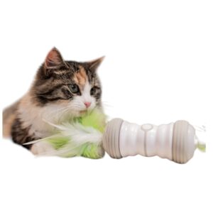 Activity kattenspeelgoed