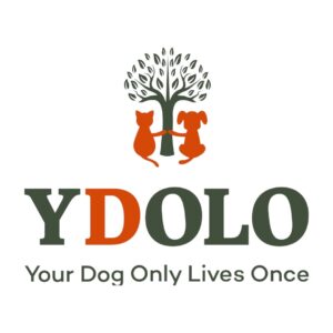 Ydolo