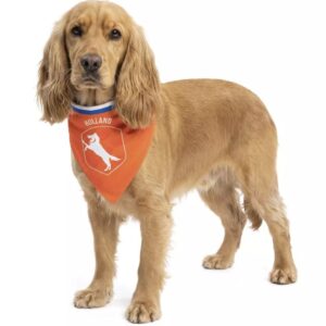 Oranje Bandana Holland
