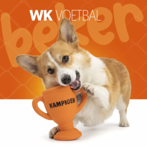 Oranje boven
