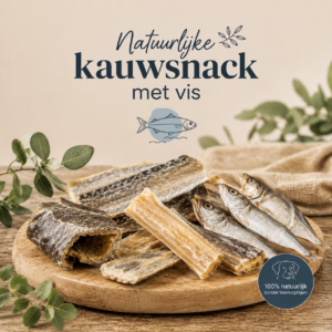 Vissnacks