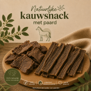 Paardensnacks